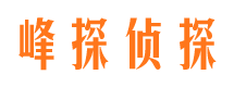 洮南市私家侦探